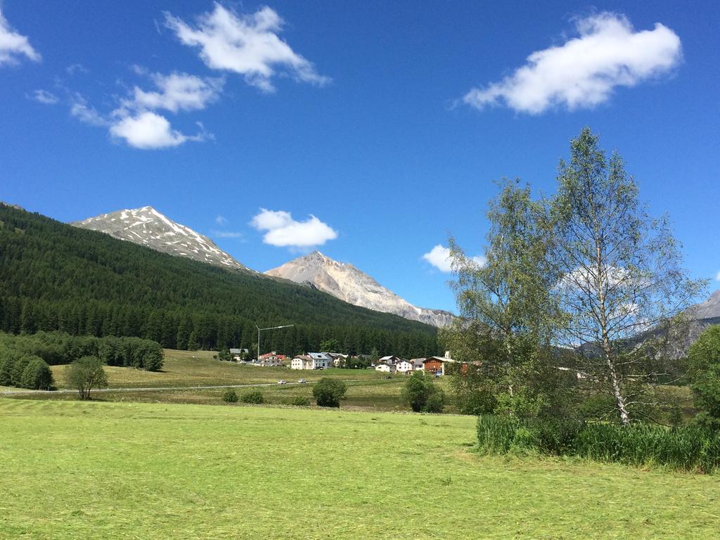 Hotel Landgasthof Staila Fuldera Εξωτερικό φωτογραφία